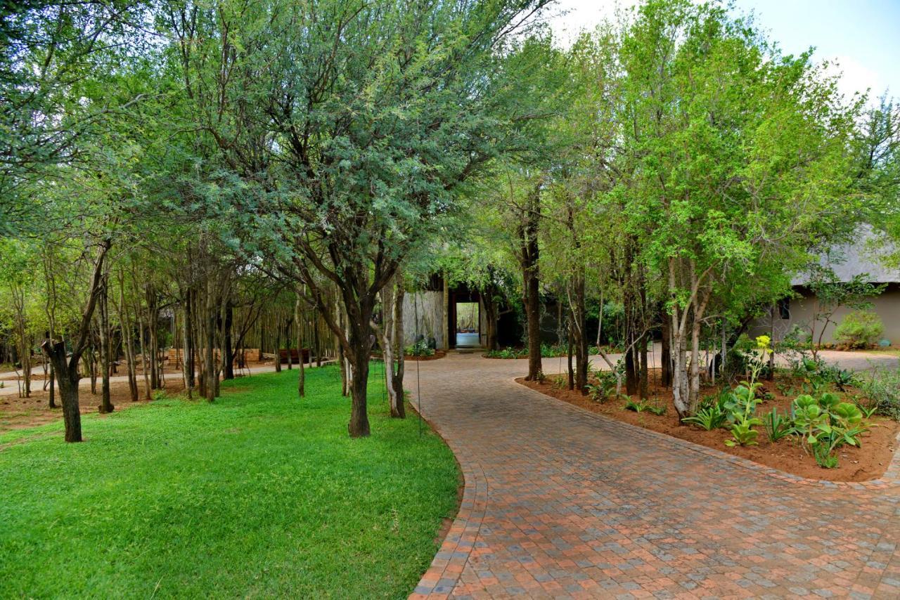 Tambuti Lodge Pilanesberg Εξωτερικό φωτογραφία